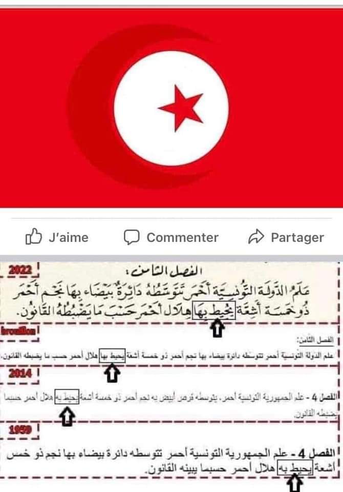 رواد الفيسبوك يتندرون برسم علم تونسي مختلف عن الواقع