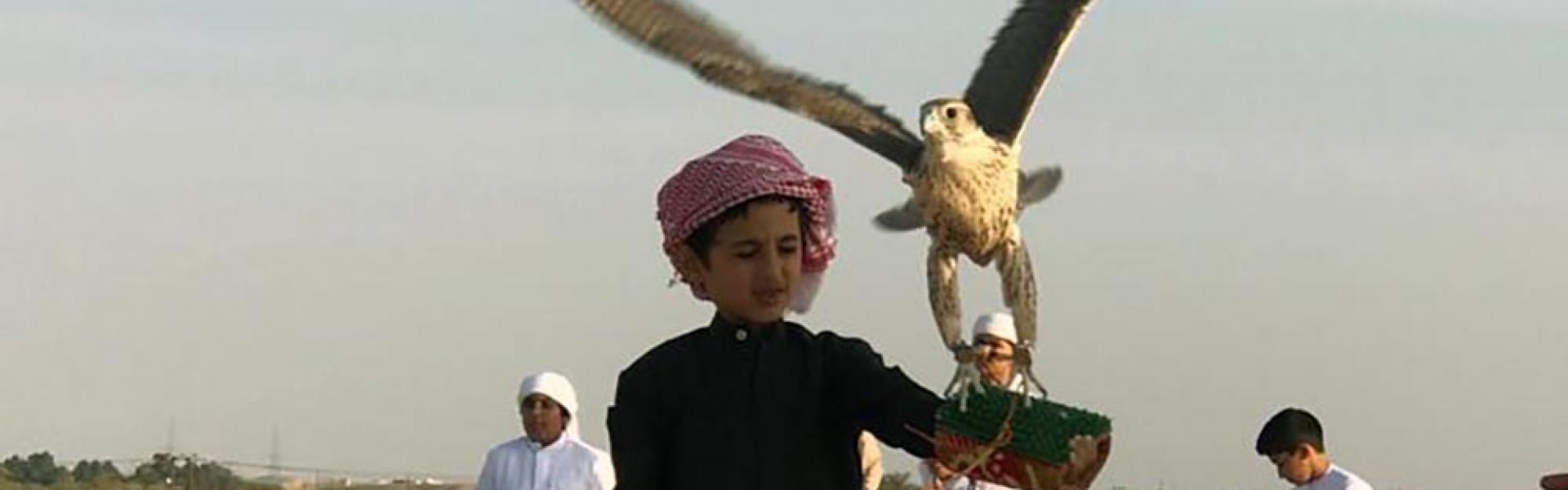 Falconry in the UAE preserved throughout generations