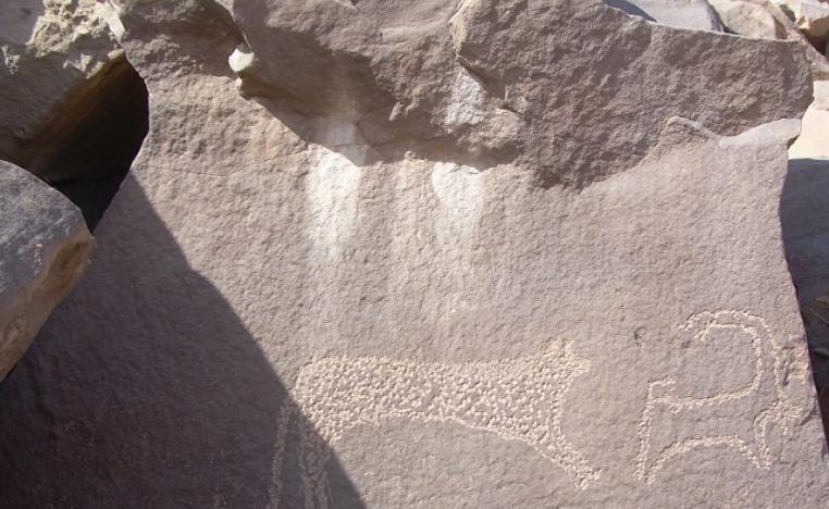 نقوش على الحجر تصور بعض حيوانات صحراء اسوان القديمة (صورة بثتها وزارة الآثار المصرية على فيسبوك)