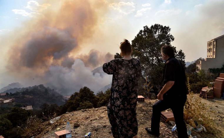 Wildfires tearing through forested areas of northern Algeria have killed at least 65 people