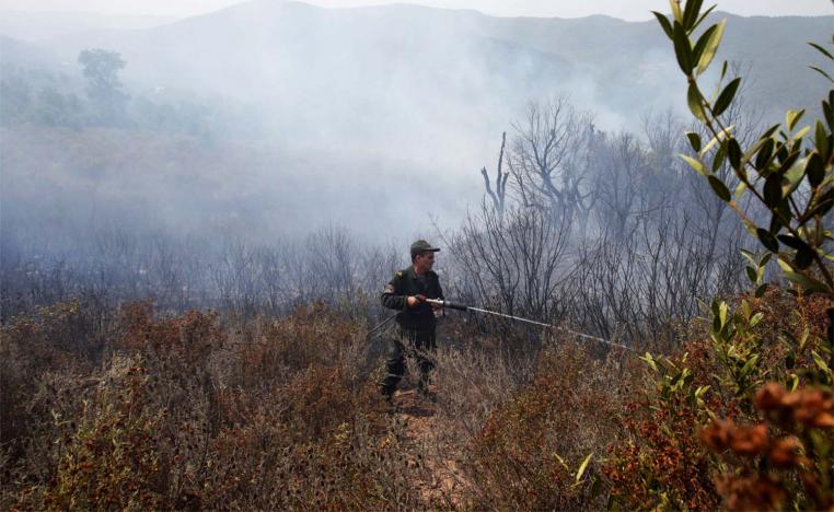 Wildfires swept across regions of Algeria amid a heatwave