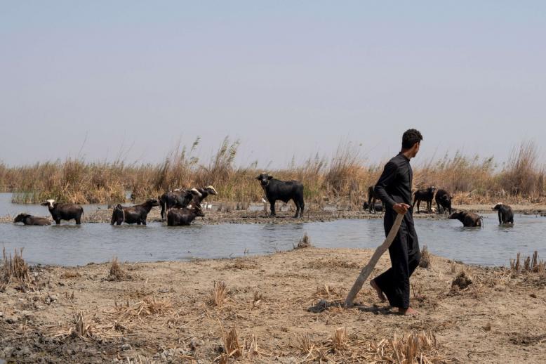 الجفاف يهدد قطاع الزراعة في العراق
