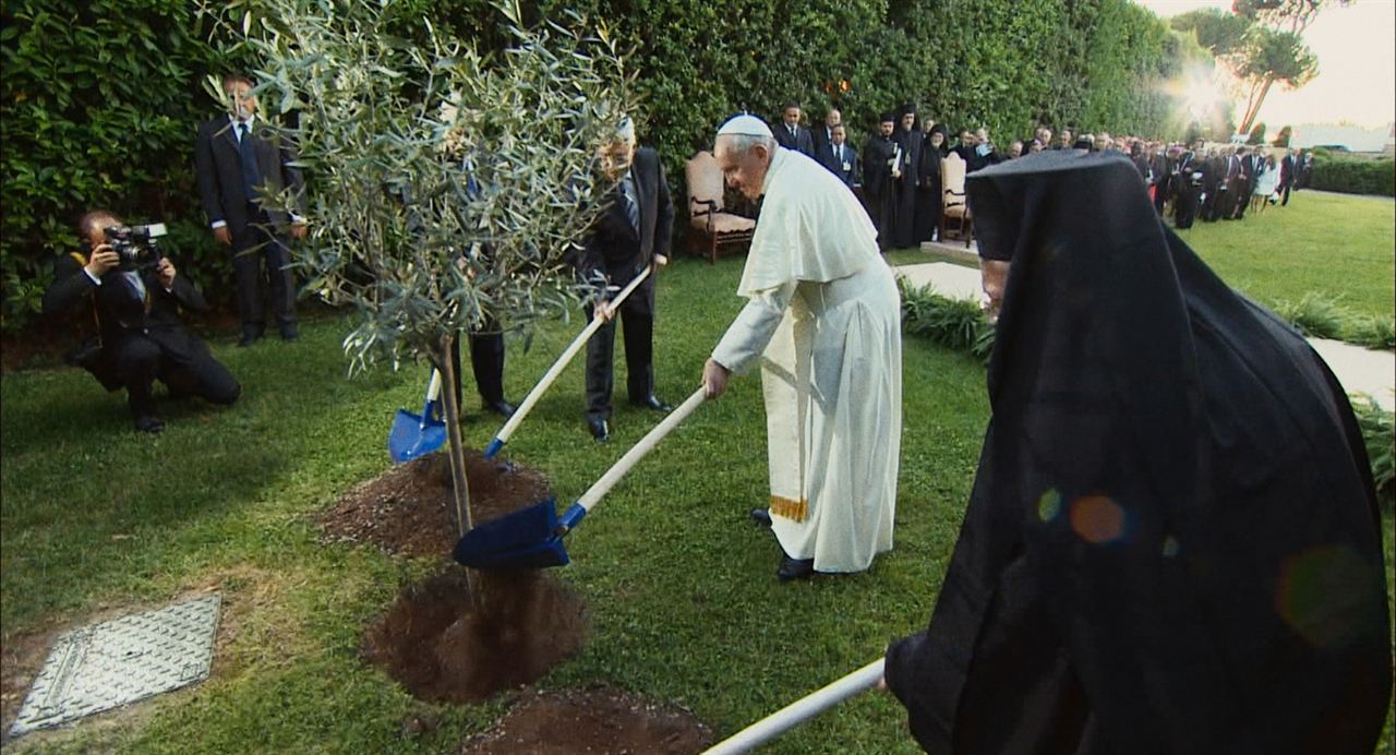 البابا فرنسيس يناصر البيئة