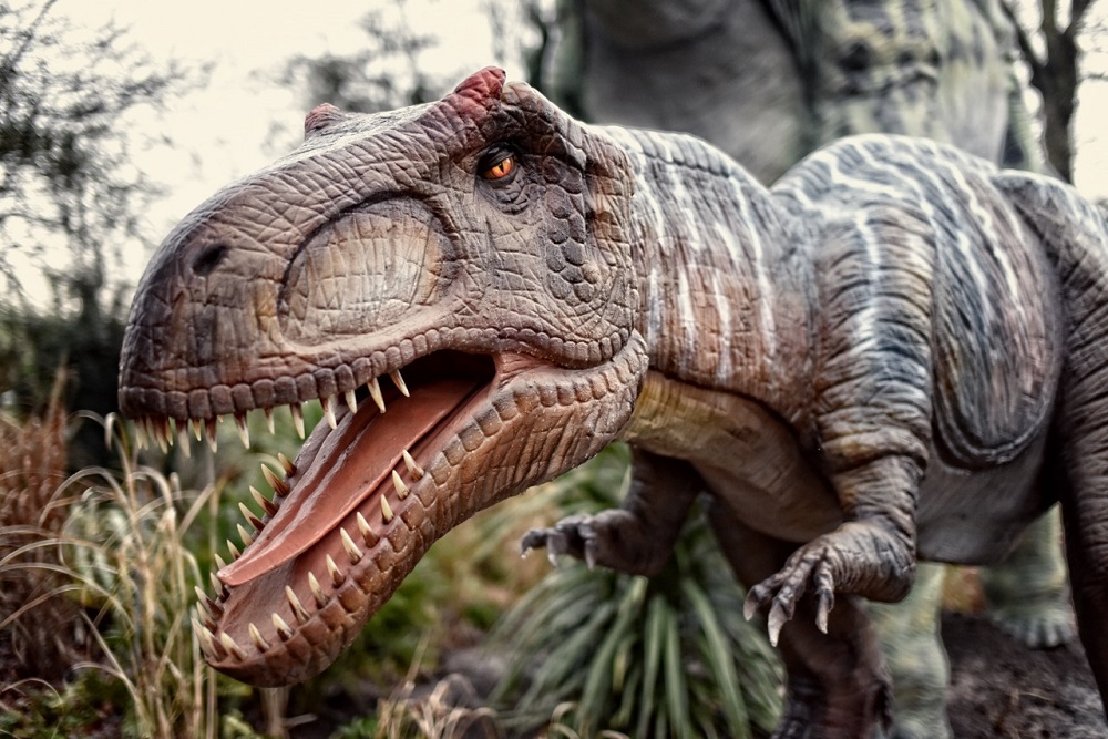 معرض فرنسي يبوح باسرار عن الديناصورات
