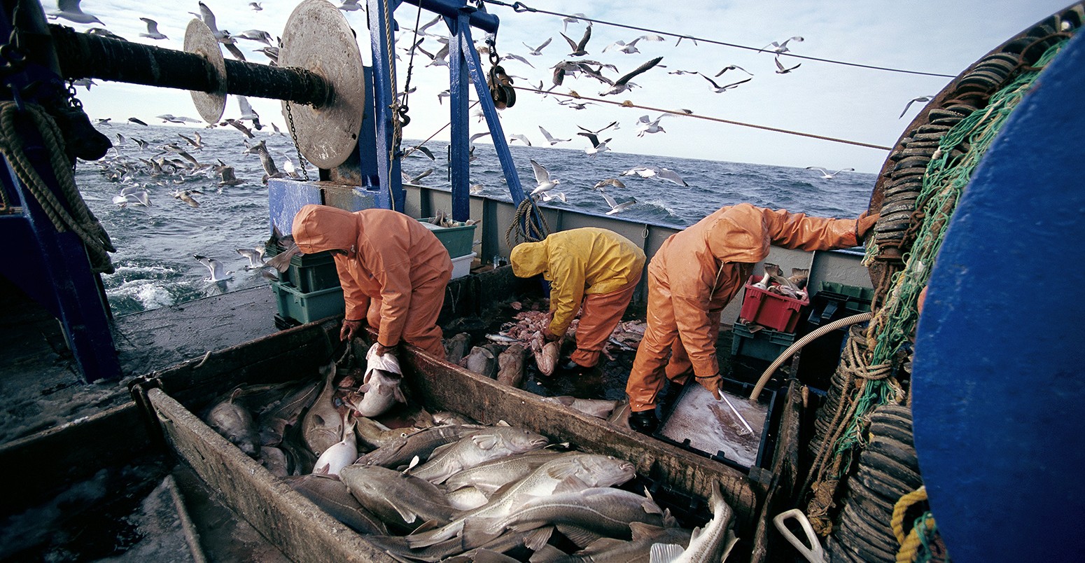 الاتفاقية الجديدة للصيد البحري بين المغرب والاتحاد الأوروبي ضربة موجعة للبوليساريو