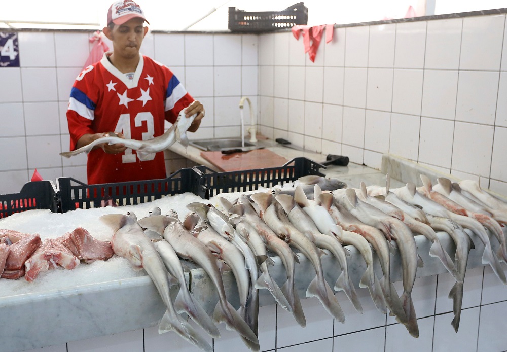 صيد السمك بالديناميت يقتل الإنسان ويهدد البيئة في ليبيا