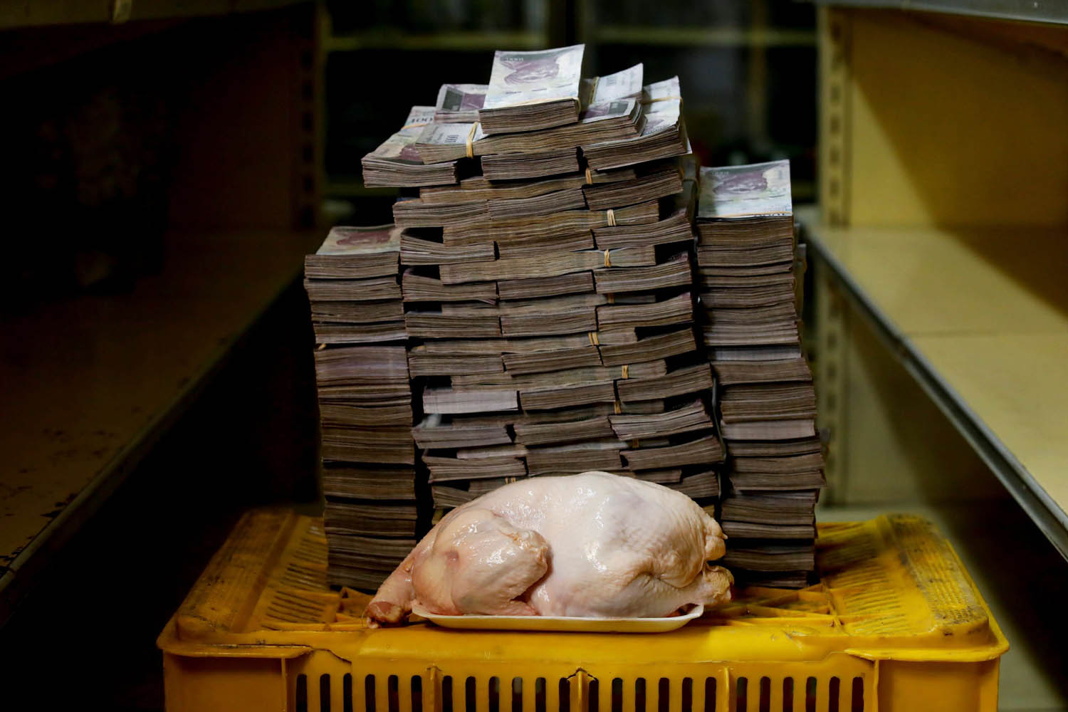 دجاجة وكومة من العملة الفنزويلية القديمة تشرح مشكلة التضخم