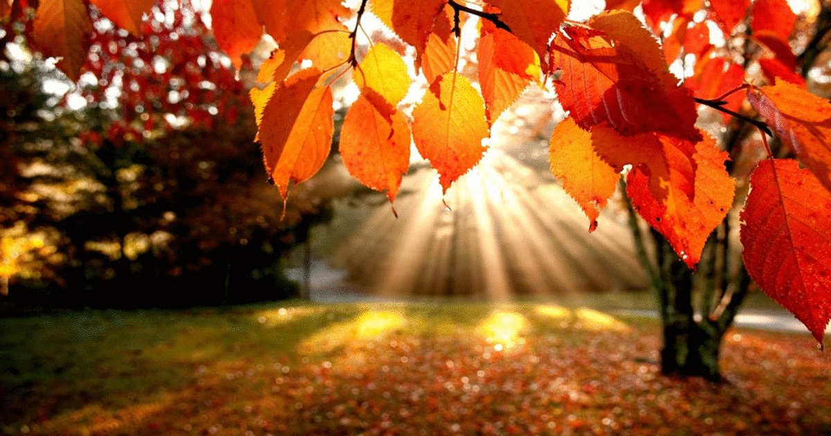 خريف يشبه الصيف يلوح من ظاهرة مناخية