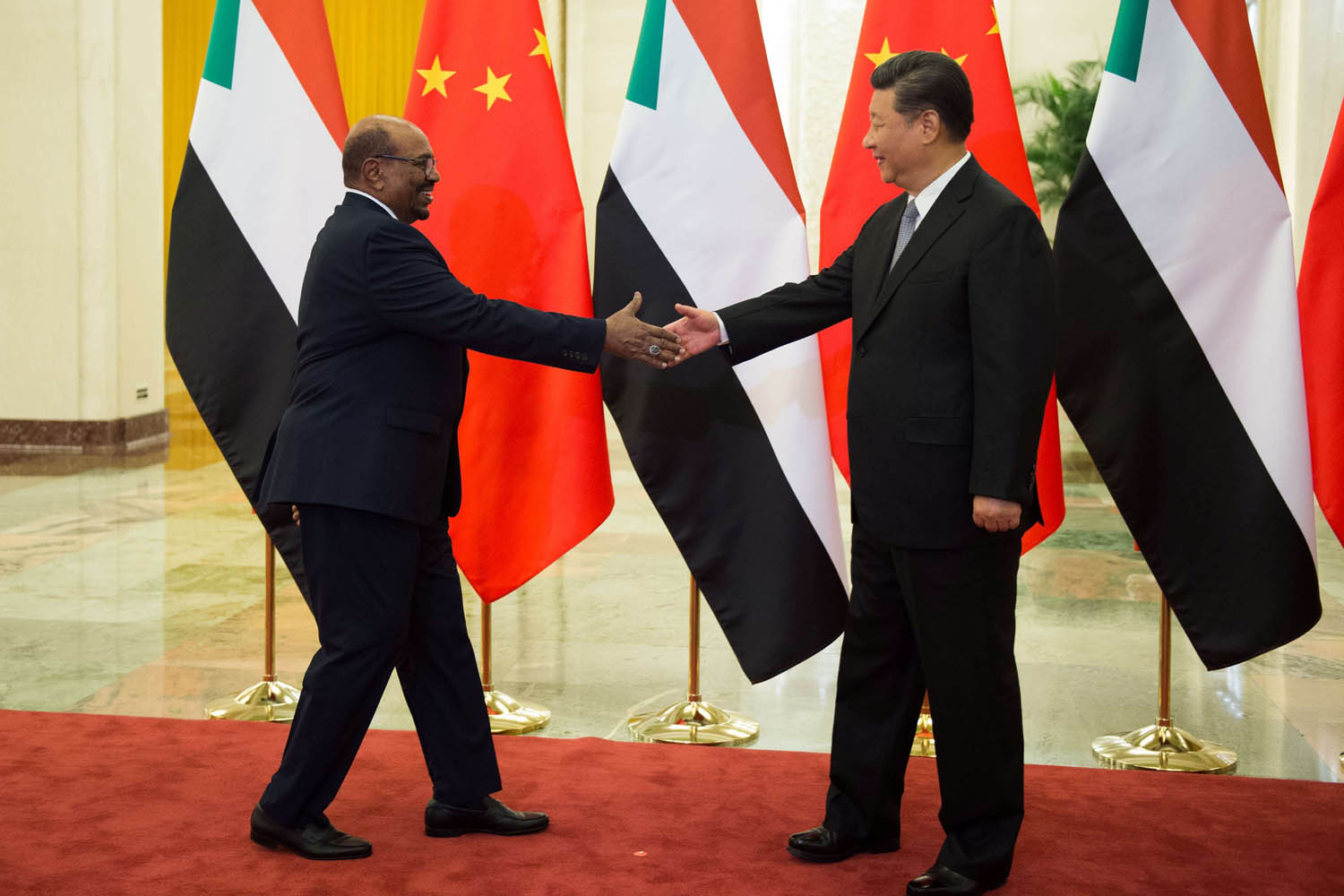 الرئيس الصيني زي جينبينغ يصافح الرئيس السوداني عمر البشير