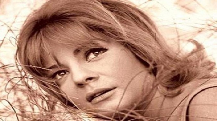 الإسكندرية السينمائي ينطلق بشعار "القدس عربية"