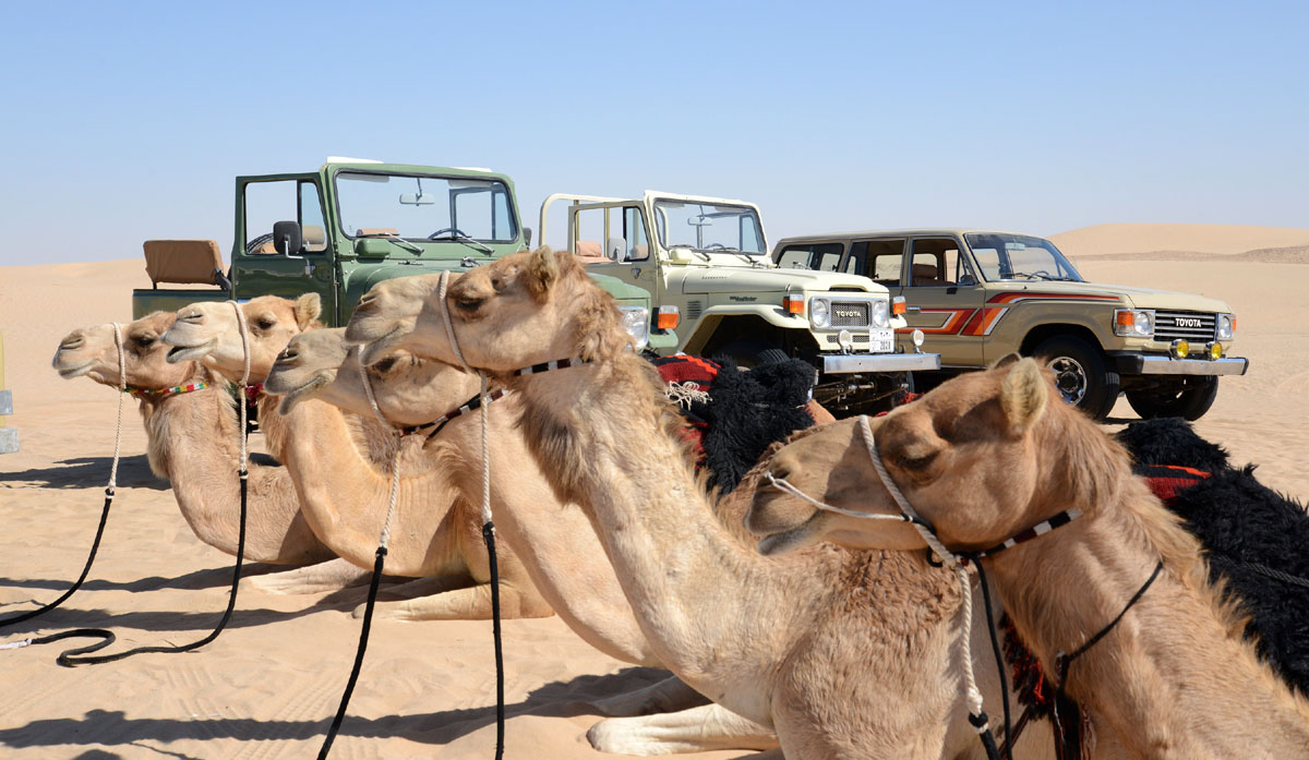 المحافظة على البيئات الطبيعية