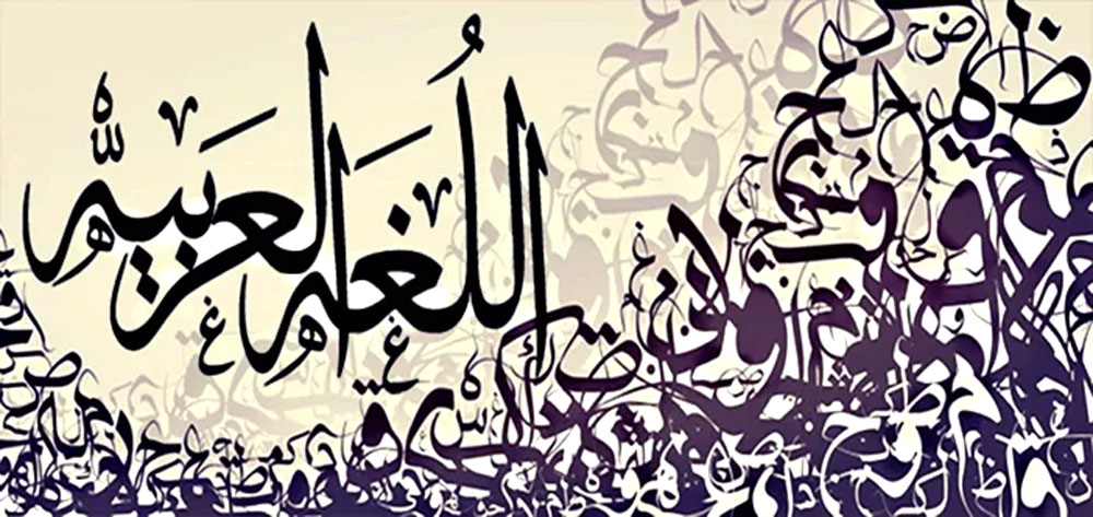 رد مفحم