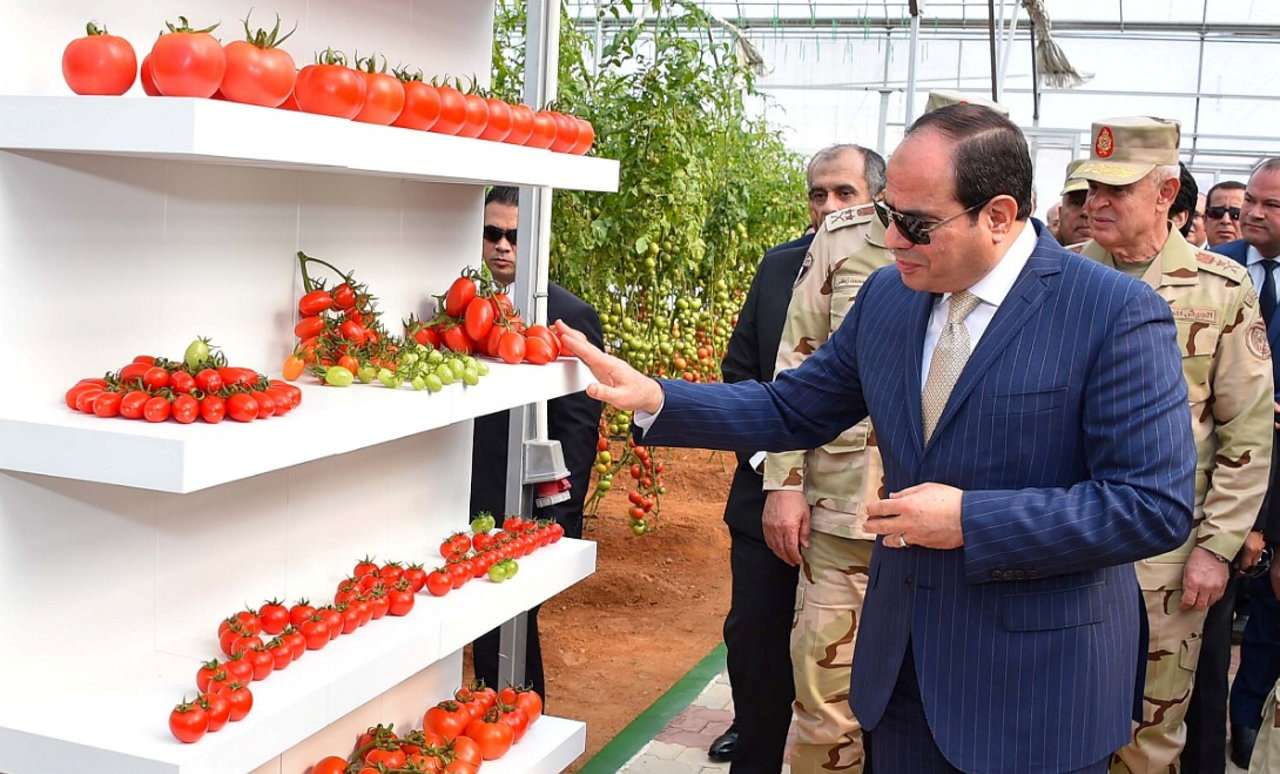 A month earlier, Sisi made similar remarks criticising overweight students saying their bodies should be "well-sculpted".