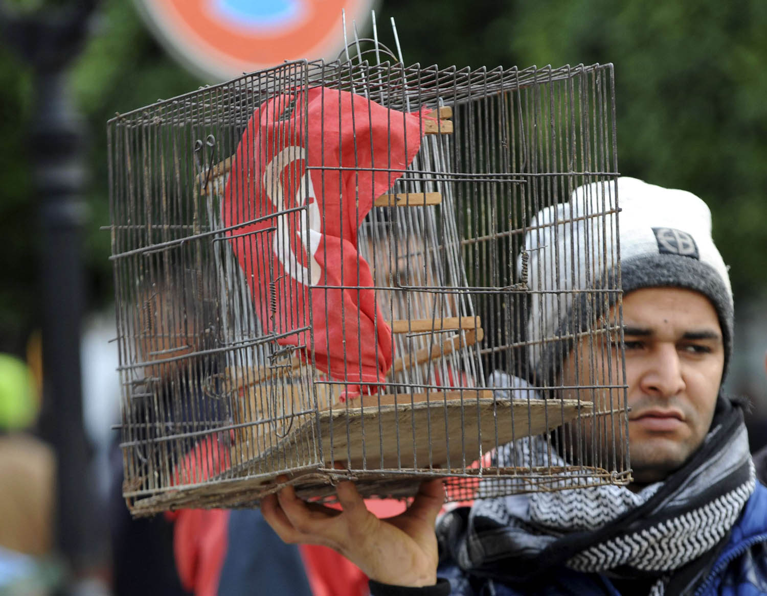 تونسي يضع علم بلاده في قفص اثناء تظاهرة الاحتفال بذكرى الثورة