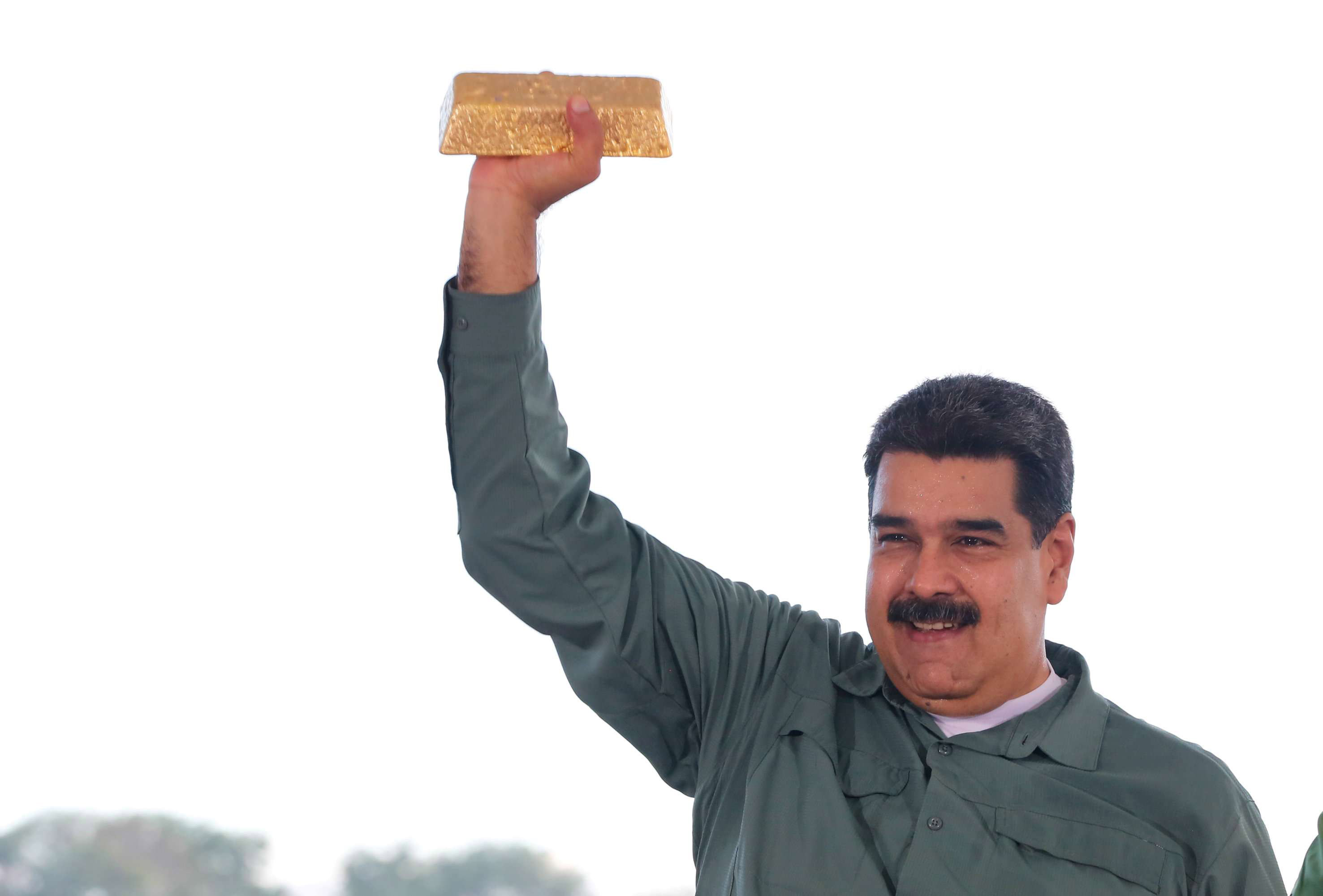 المعارضة الفنزويلية تتهم الحكومة بتدمير البيئة بحثا عن الذهب