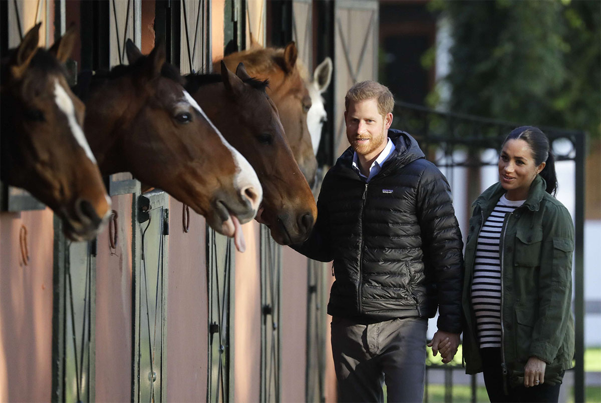 British royals stop to stroke horses in their stables during a visit to the Moroccan Royal Federation of Equestrian Sports in Rabat