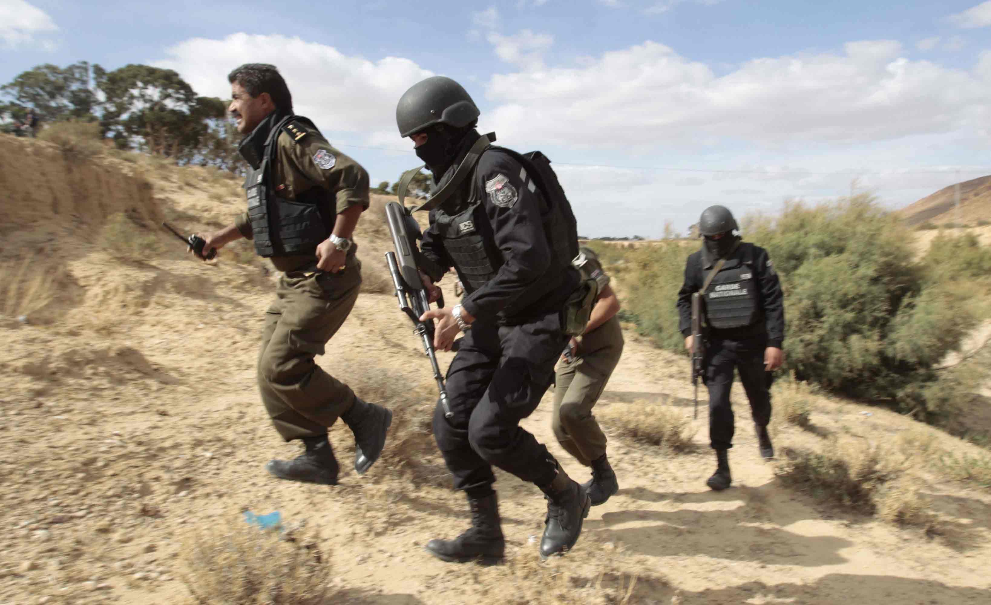 الوحدات العسكرية تواصل تعقب الجماعات الإرهابية في الغابات والمرتفعات في تونس