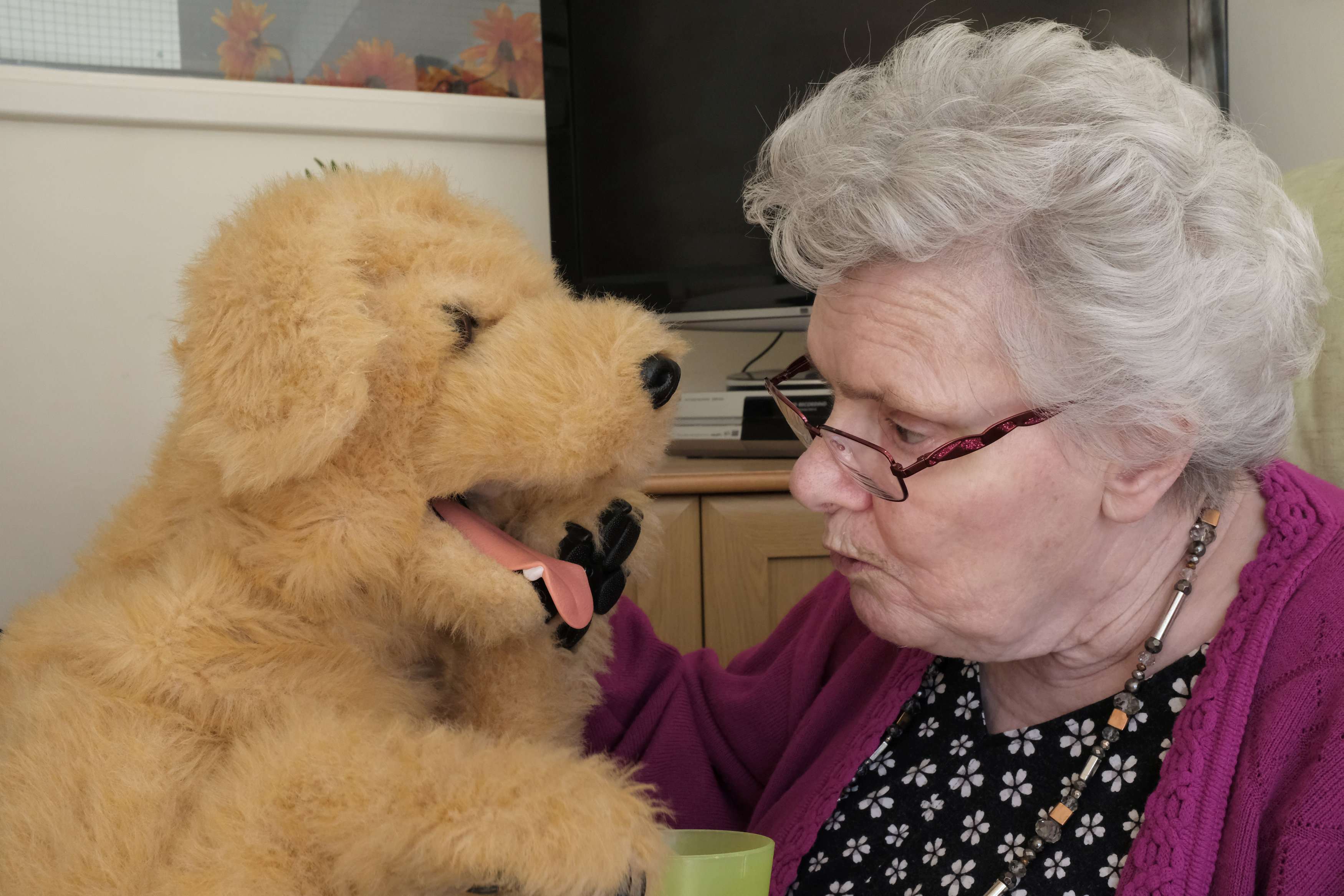 امرأة مسنة تتواصل مع كلب آلي مصمم لمساعدة مرضى الخرف