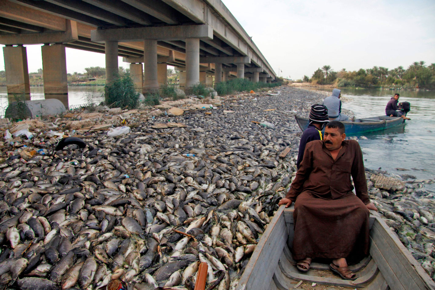 Photo taken on November 02, 2018 Iraqi men sit in boats amidst dead carp from nearby farms floating on the Euphrates river near the town of Sadat al-Hindiya, north of the central Iraqi city of Hilla.