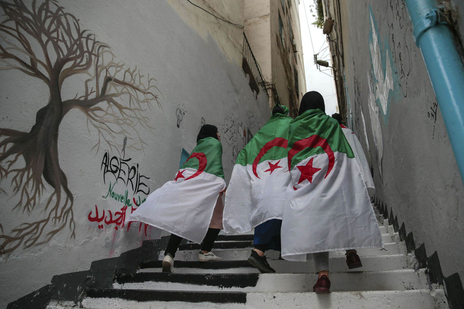جزائريون يتلحفون أعلام بلدهم في منطقة القصبة في العاصمة