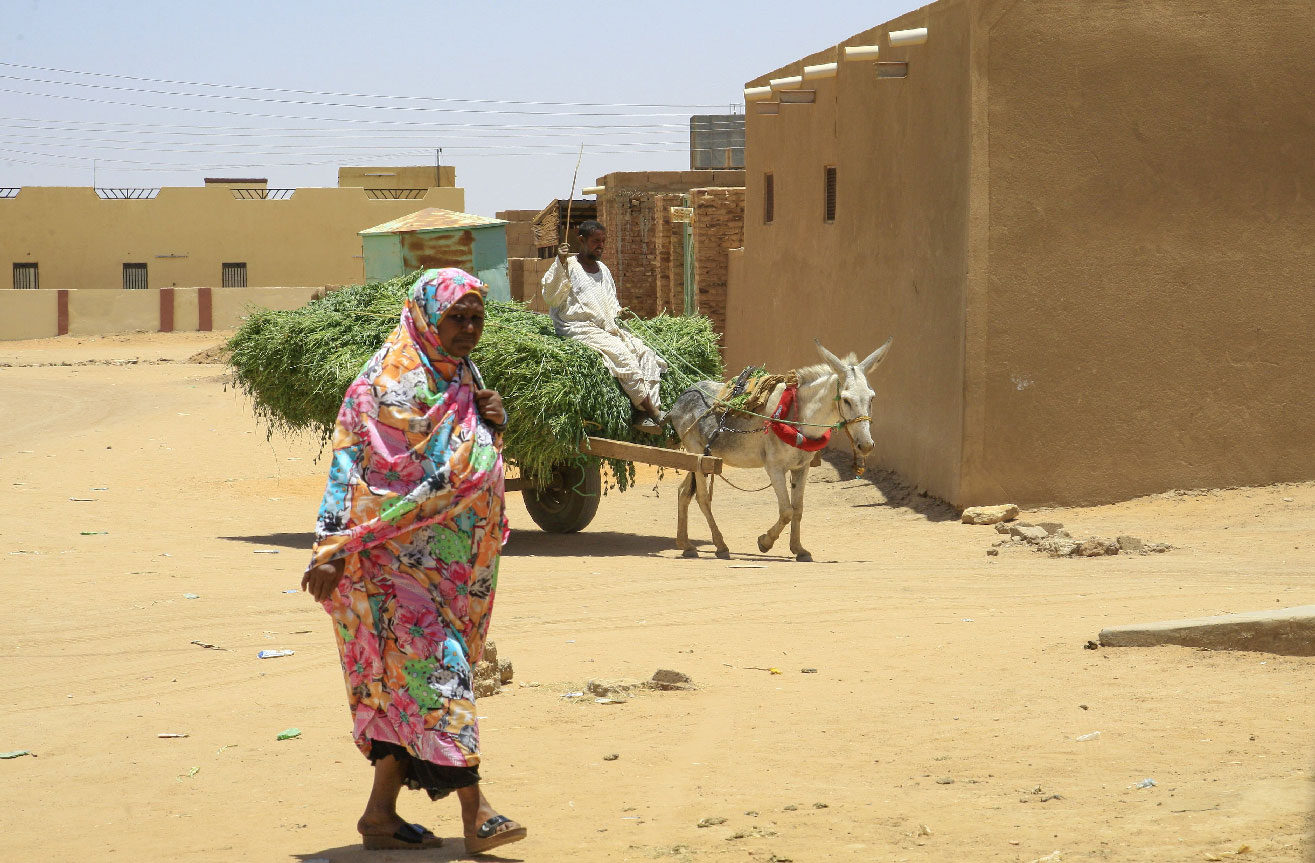 A woman walks in the village of deposed Sudanese president Omar al-Bashir, Hosh Bannaga, some 170 kilometres (105 miles) north of the capital Khartoum