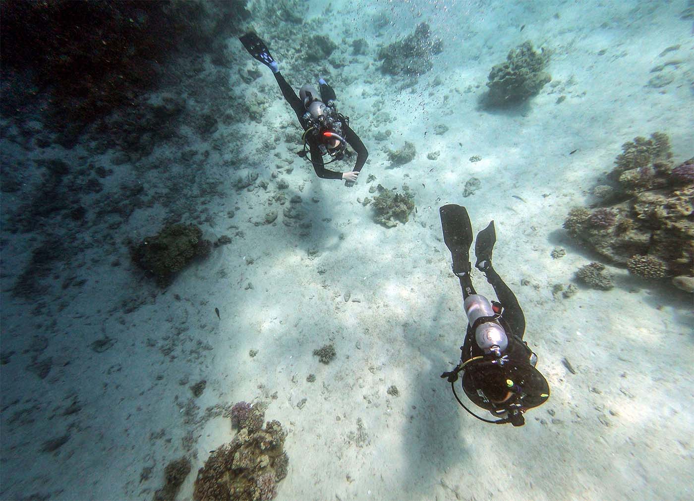 Divers swim off the coast of Egypt's Red Sea resort of Hurghada