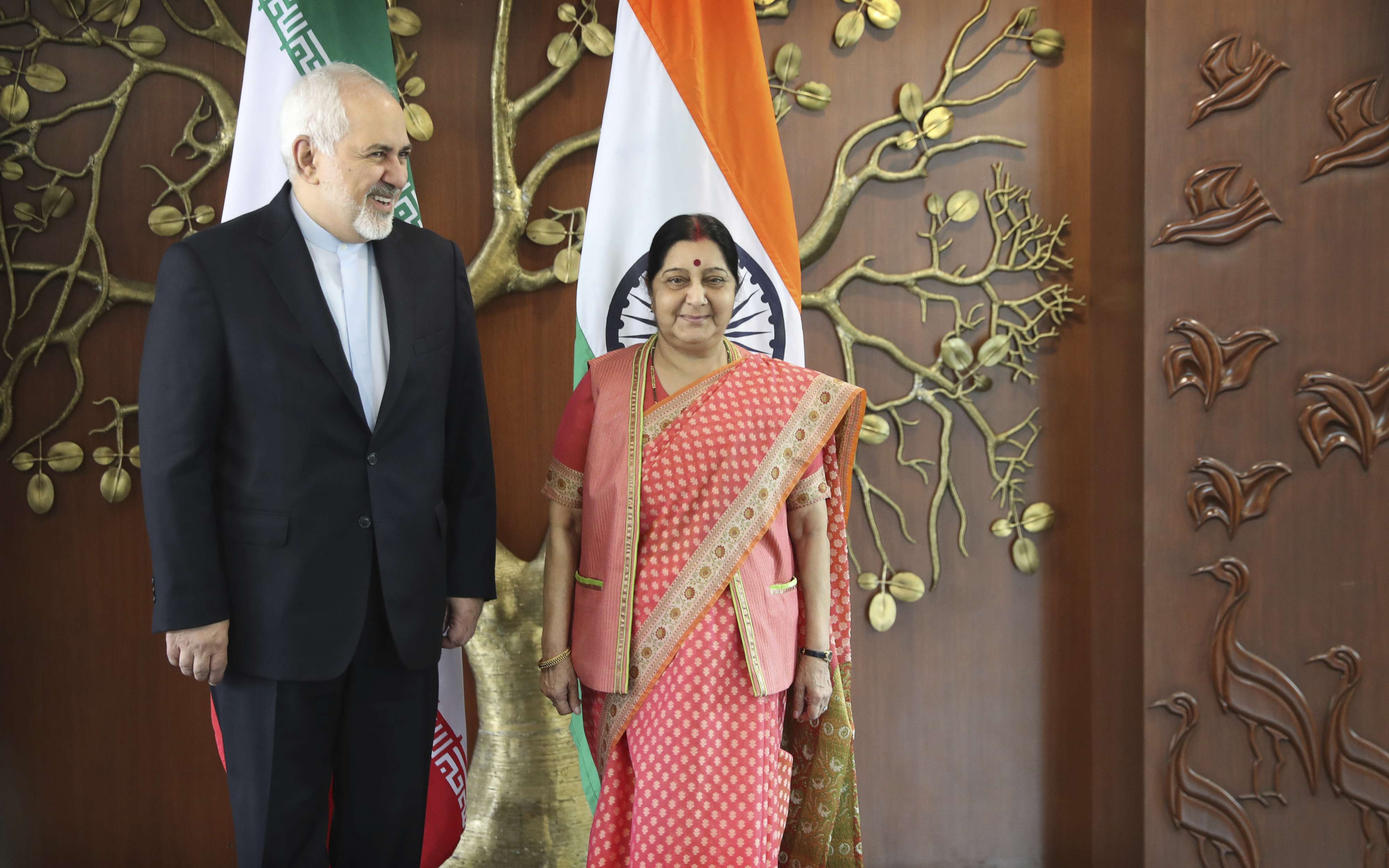 وزير الخارجية الايراني محمد جواد ظريف يلتقي وزيرة خارجية الهند سوشما سواراج
