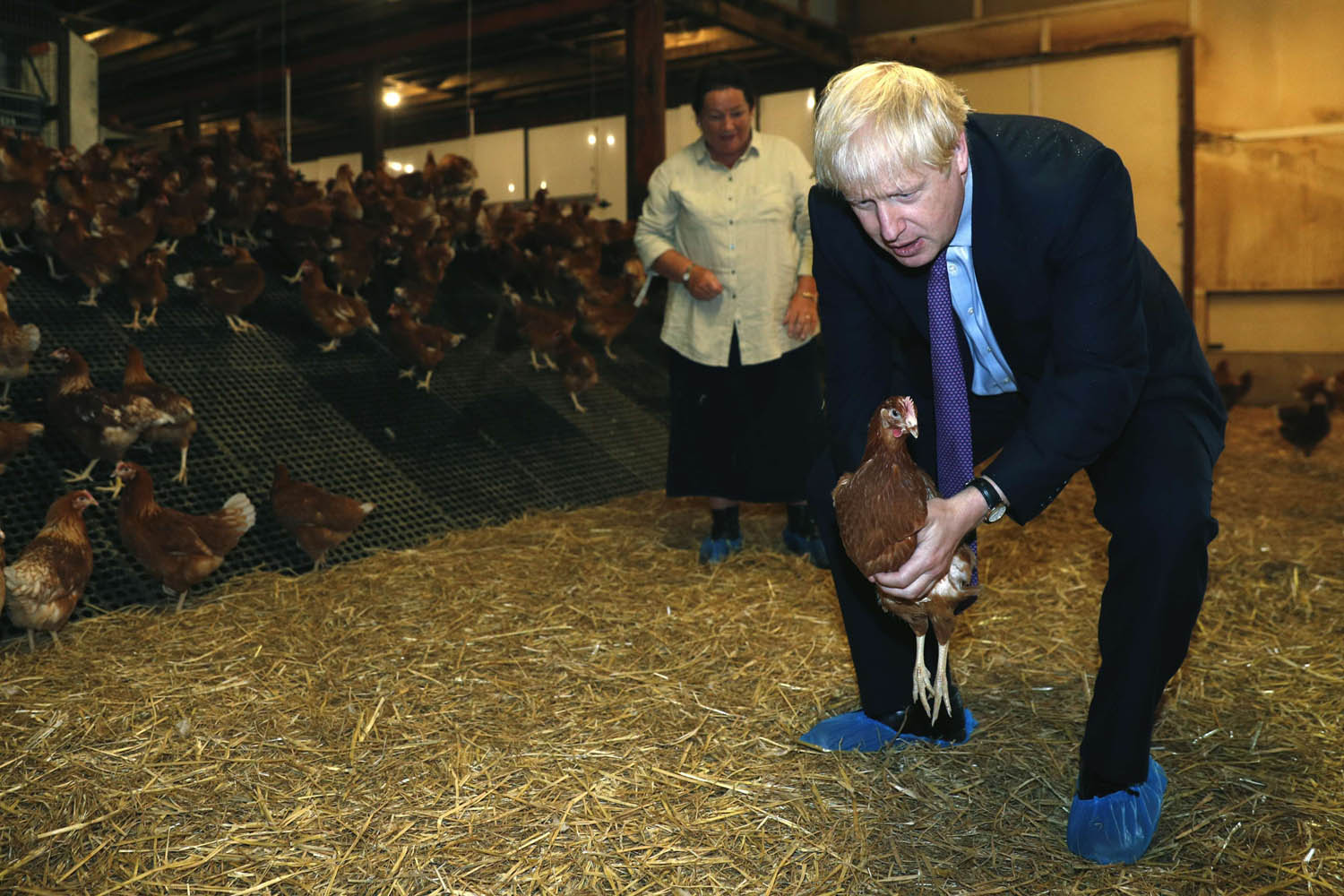 رئيس الوزراء البريطاني بوريس جونسون يمسك بدجاجة