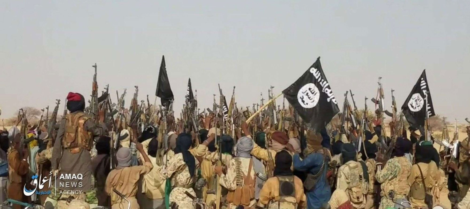 داعش في نيجيريا