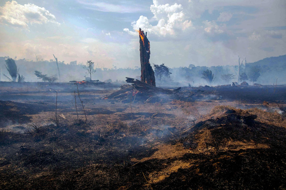 النيران تلتهم الأخضر واليابس بغابات الأمازون