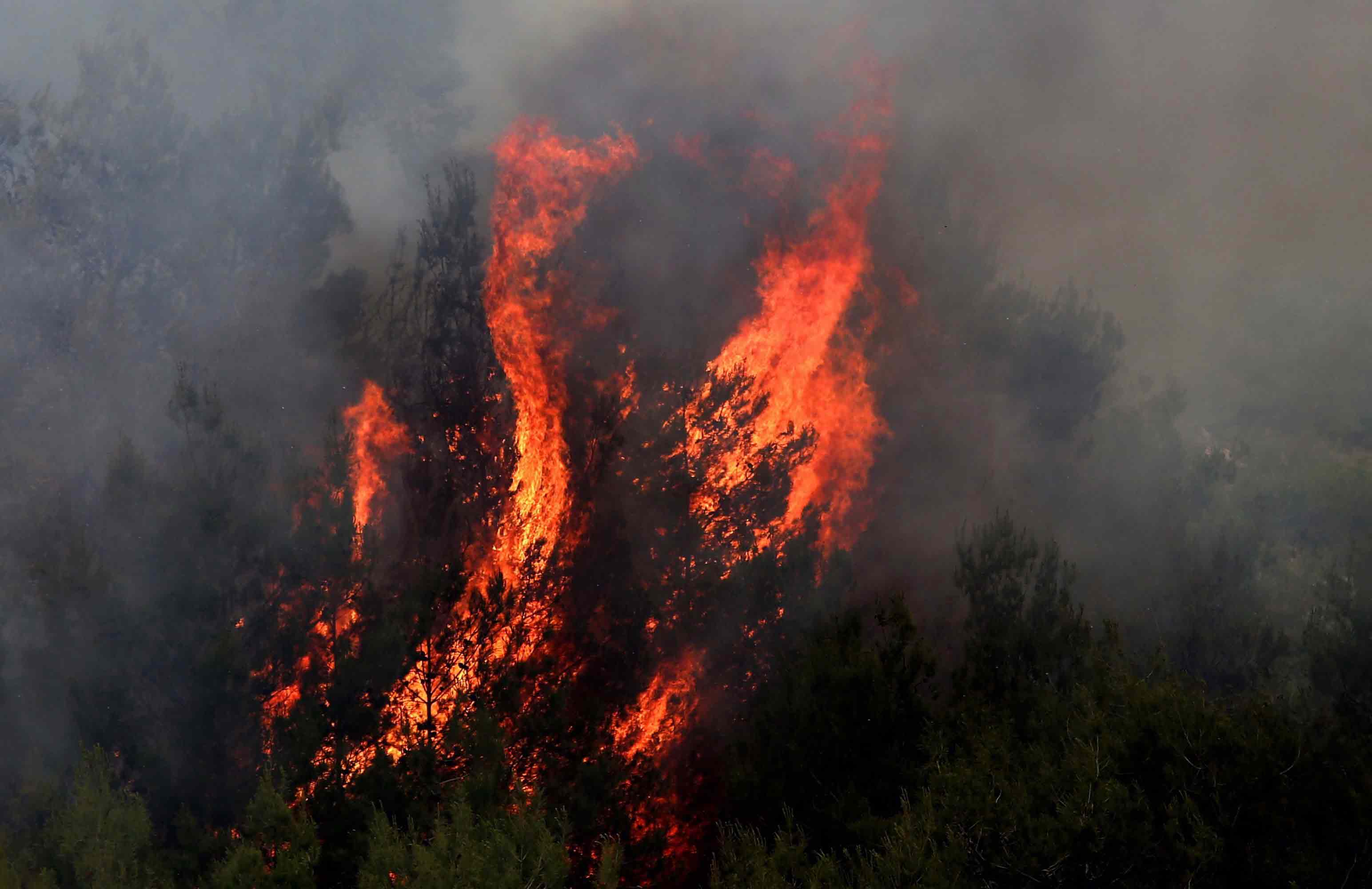 لبنان_ يحترق