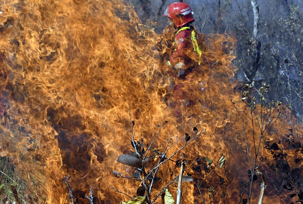 رجل إطفاء يساهم في إخماد حرائق غابات الأمازون