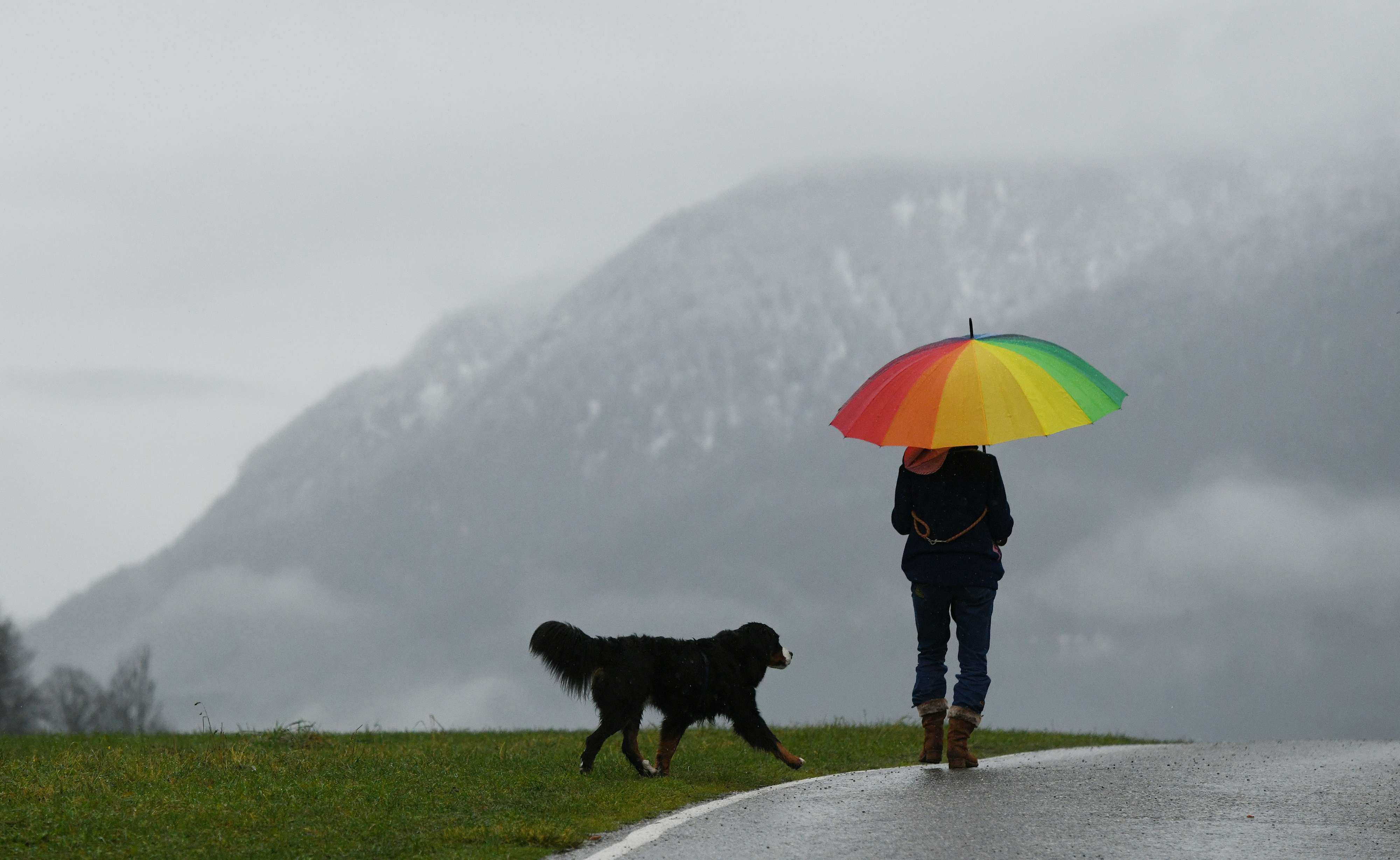 امرأة المانية تتمشى في برلين مع كلبها في يوم ماطر