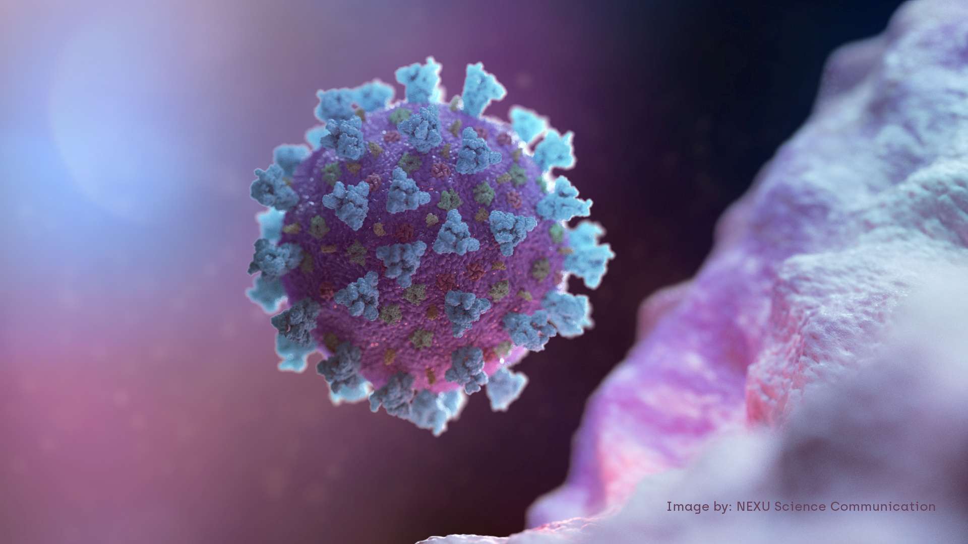 نموذج هيكلي لفيروس كورونا