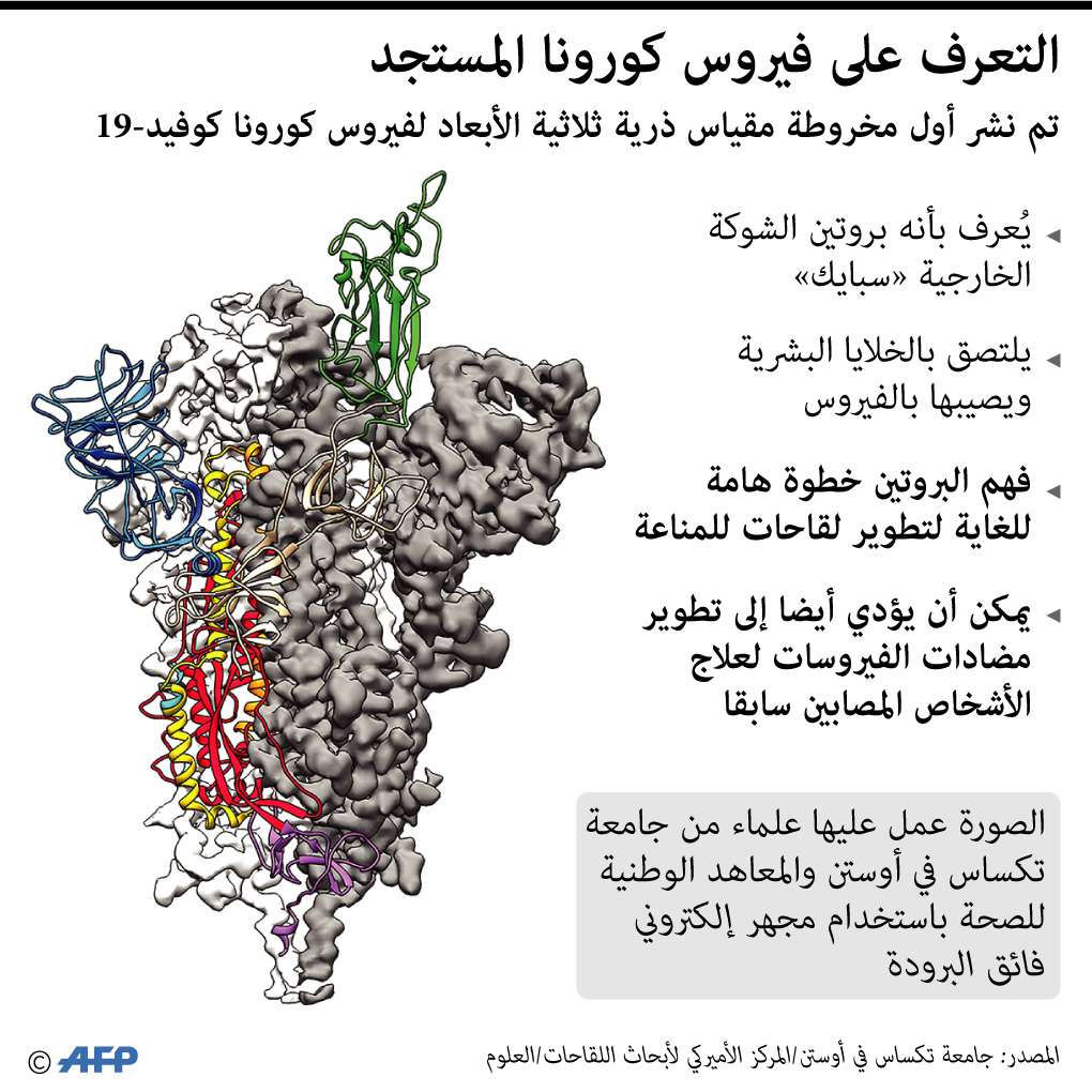 خريطة جزيئية ثلاثية لفيروس كورونا