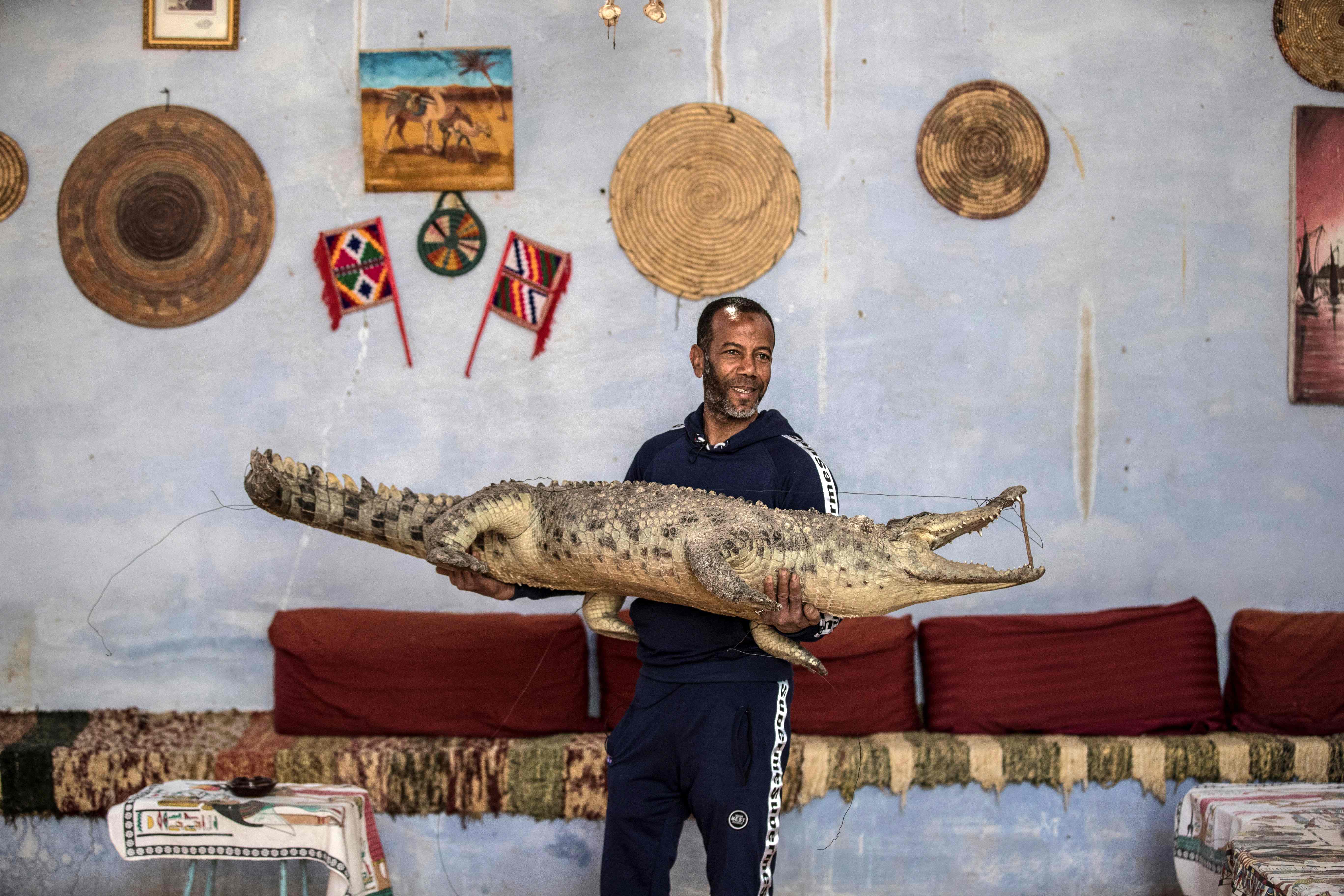 Mamdouh Hassan carries a mummified crocodile