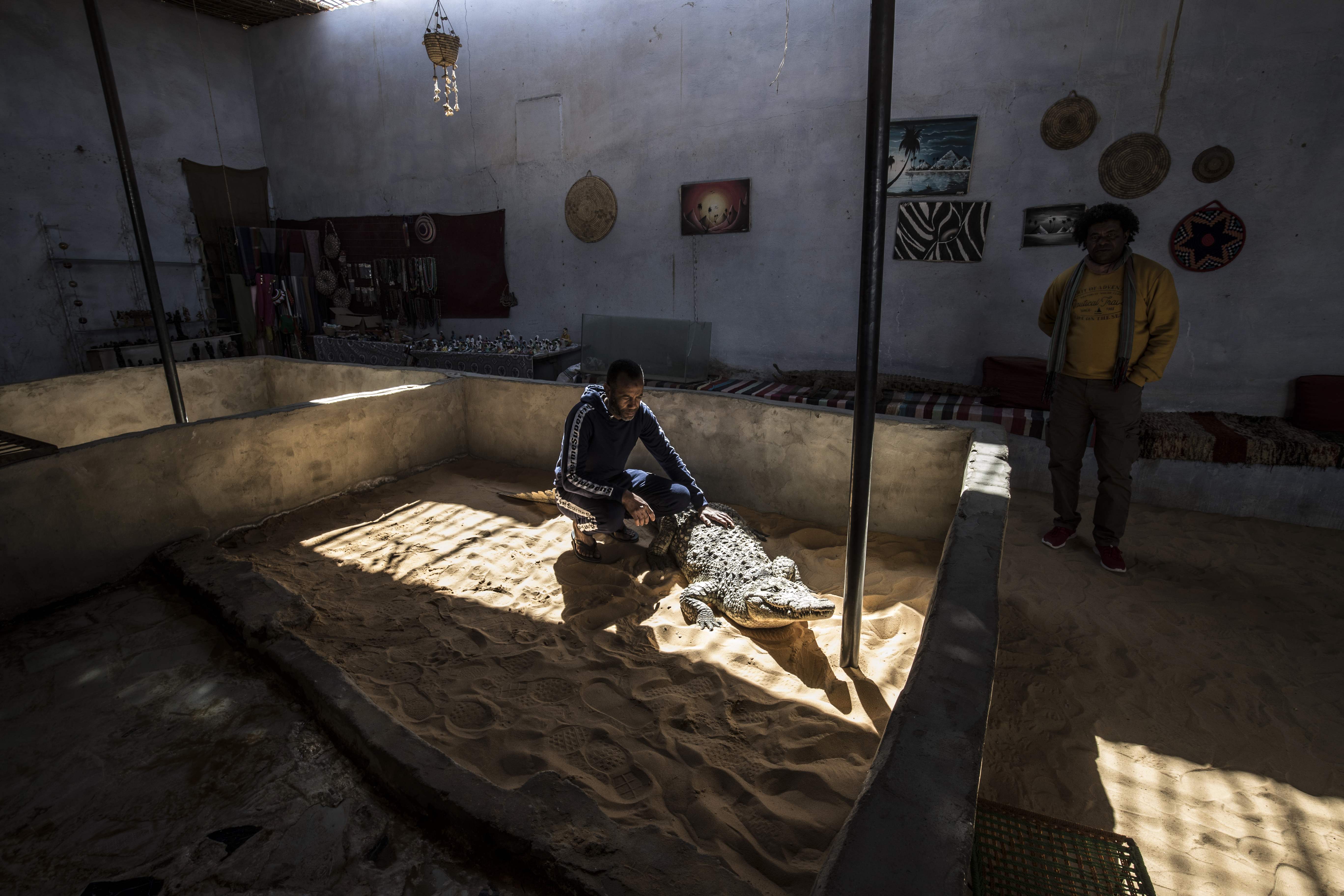Mamdouh Hassan shows a crocodile to visitors at his house in the Nubian village of Gharb Soheil
