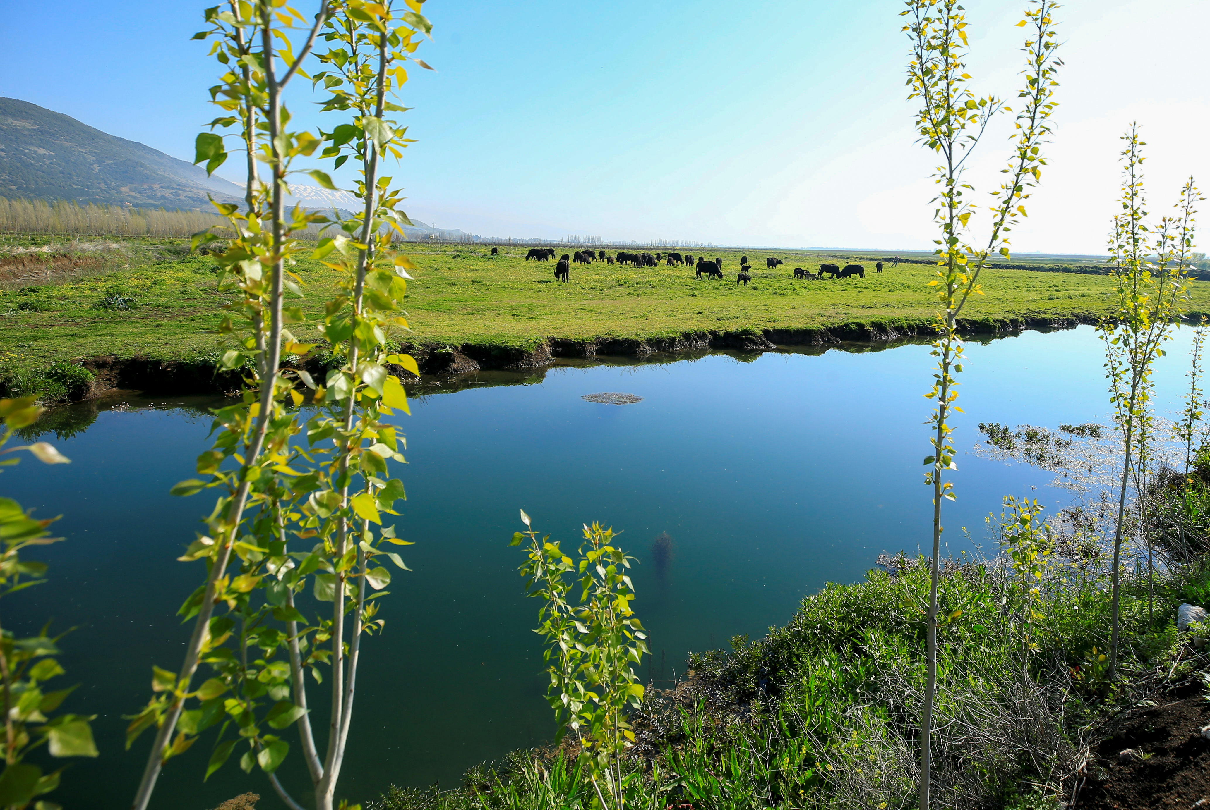 A view from Ammiq Wetland, in Lebanon's eastern Bekaa valley