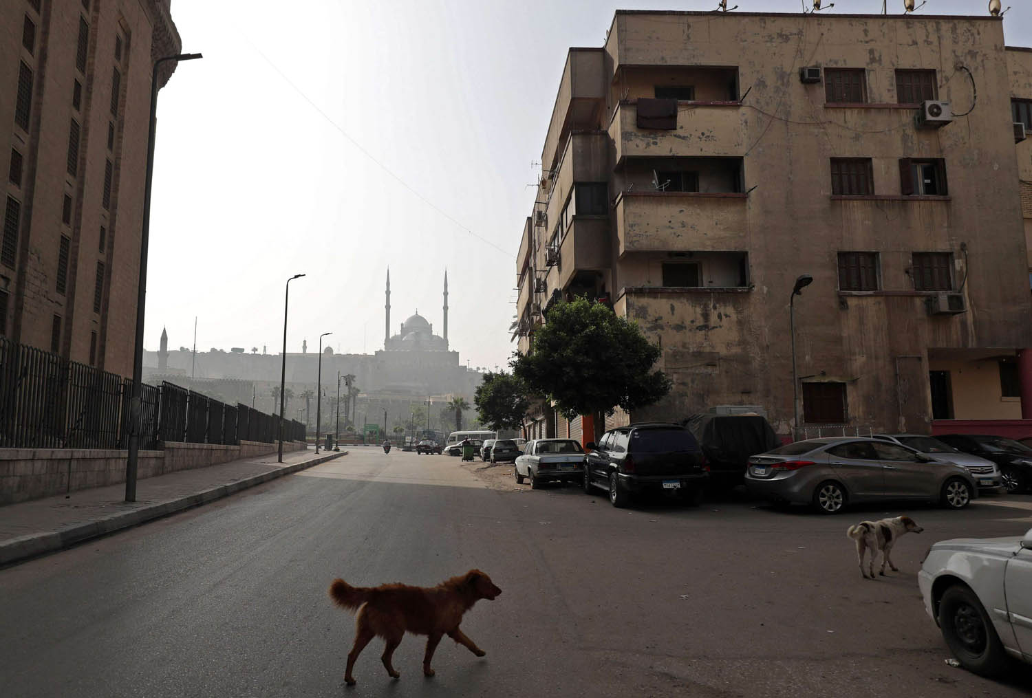 شوارع مقفرة في القاهرة