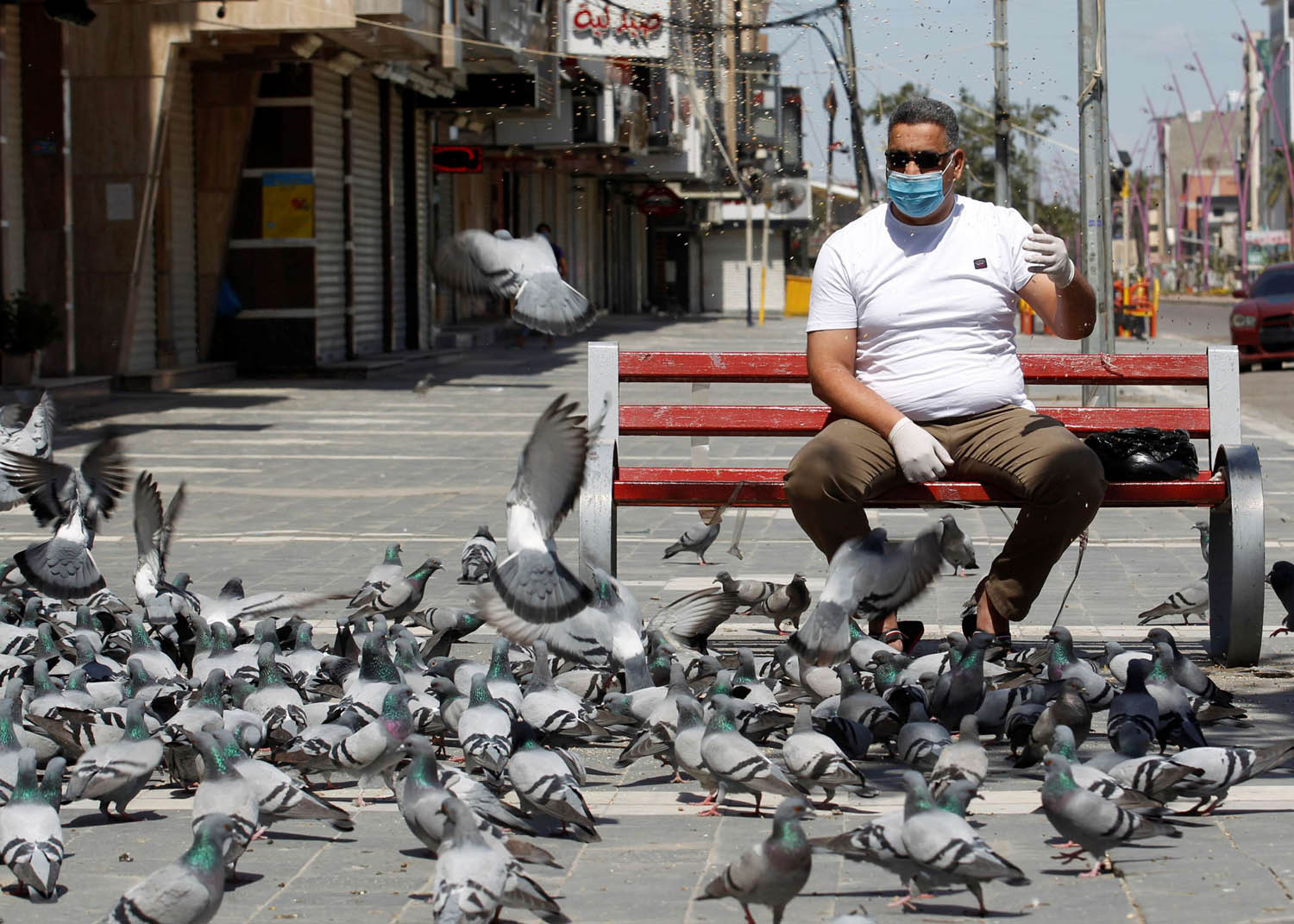 عراقي يرتدي كمامة يطعم حمائم وسط بغداد