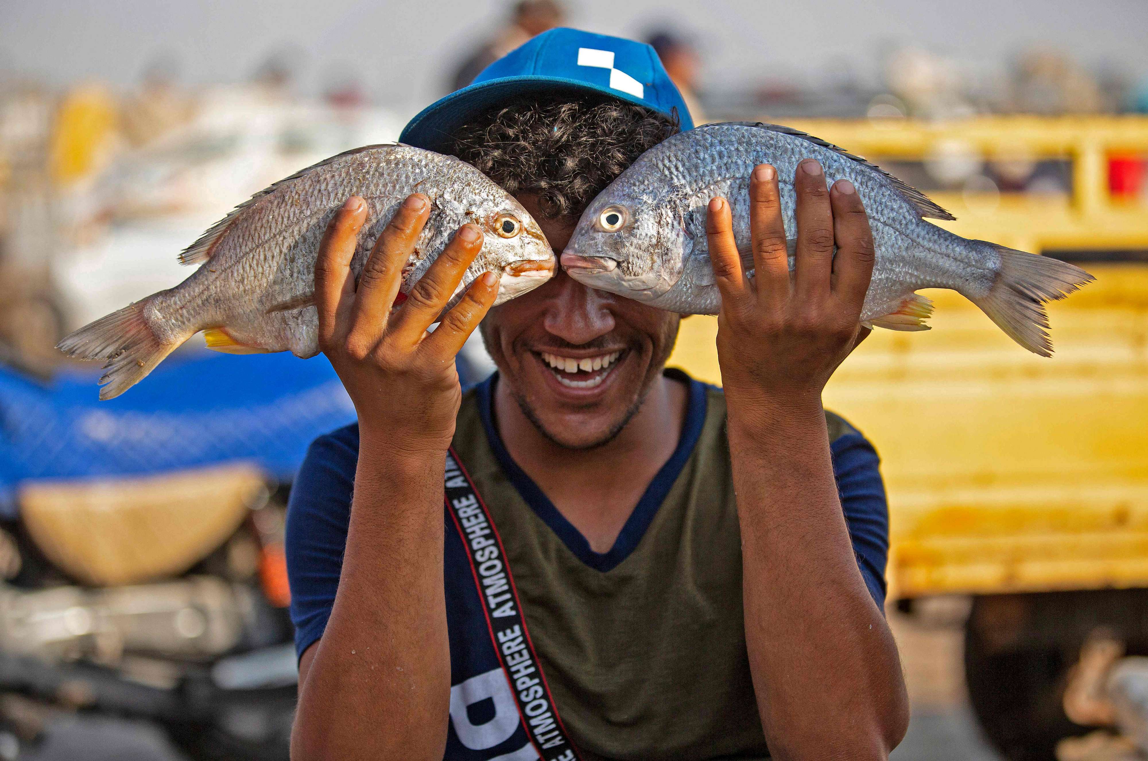 انتعاش قطاع صيد السمك في البصرة