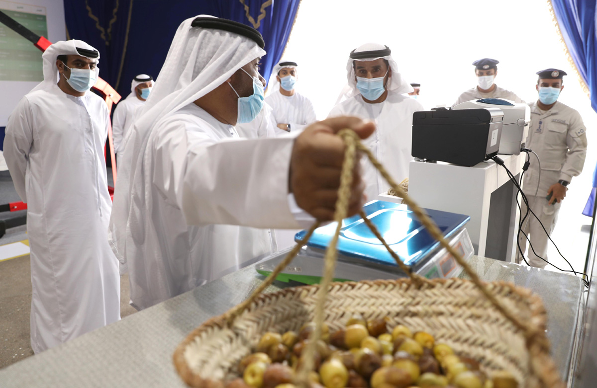 شرح مفصل