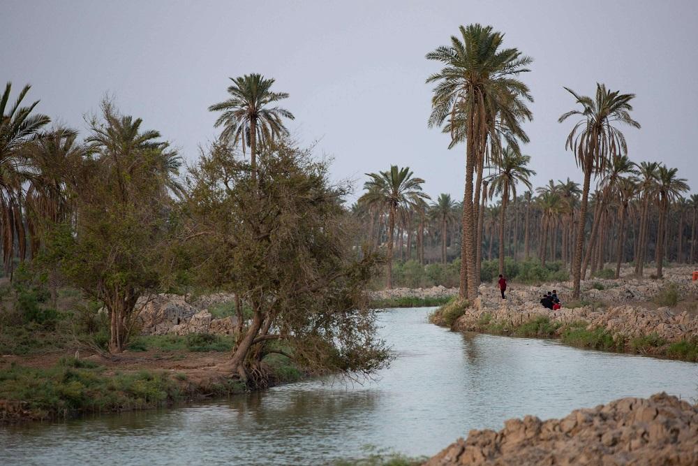 ارتفاع الأملاح بسبب انخفاض المياه يضر مزارع العراق