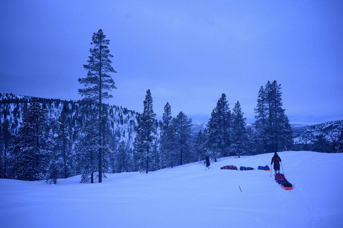 القارة القطبية الشمالية