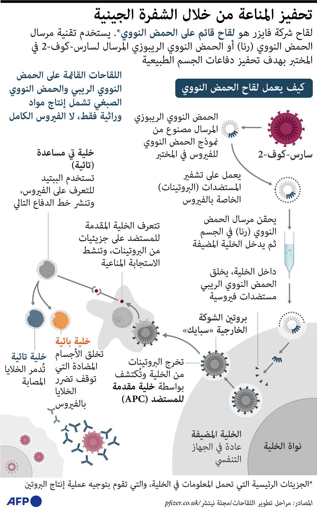 لقاح فايزر وبايونتيك