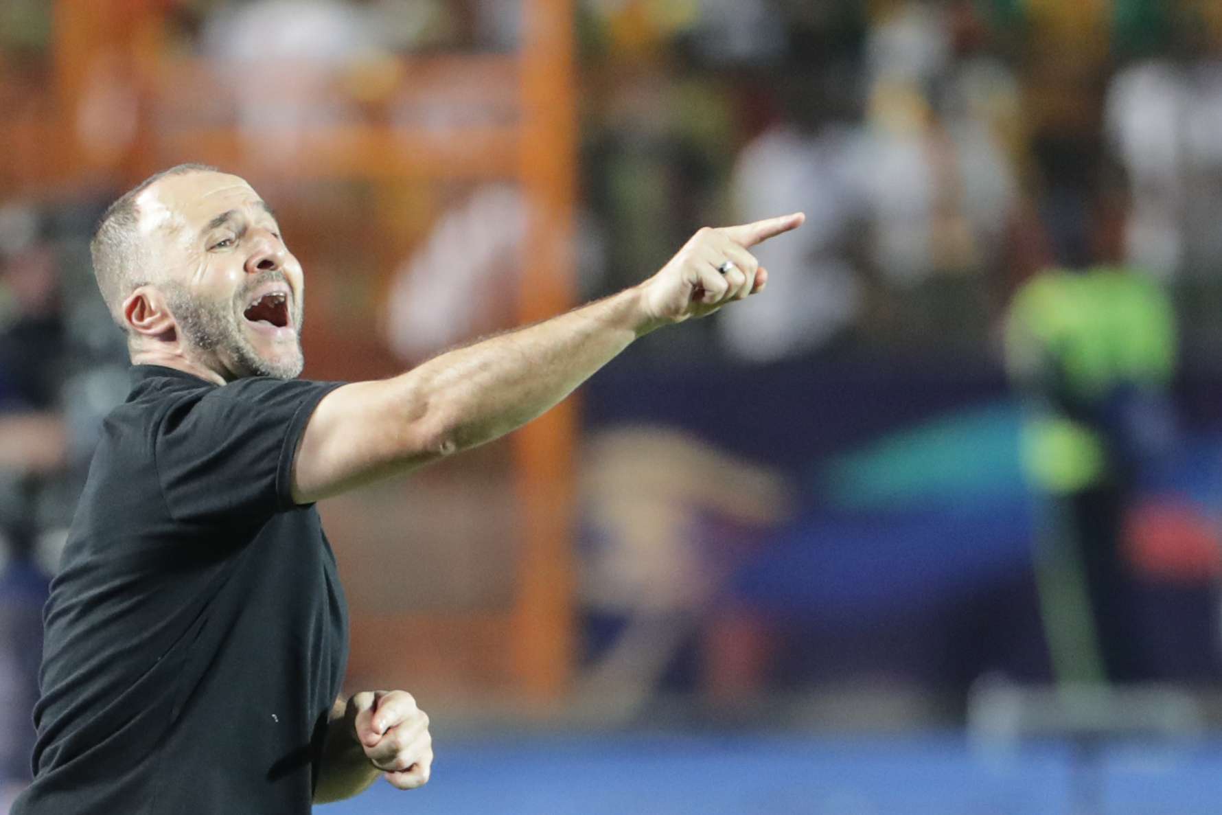 مدرب الجزائر لحصد الانتصارات والحفاظ على السجل الخالي من الهزائم لأطول فترة ممكنة