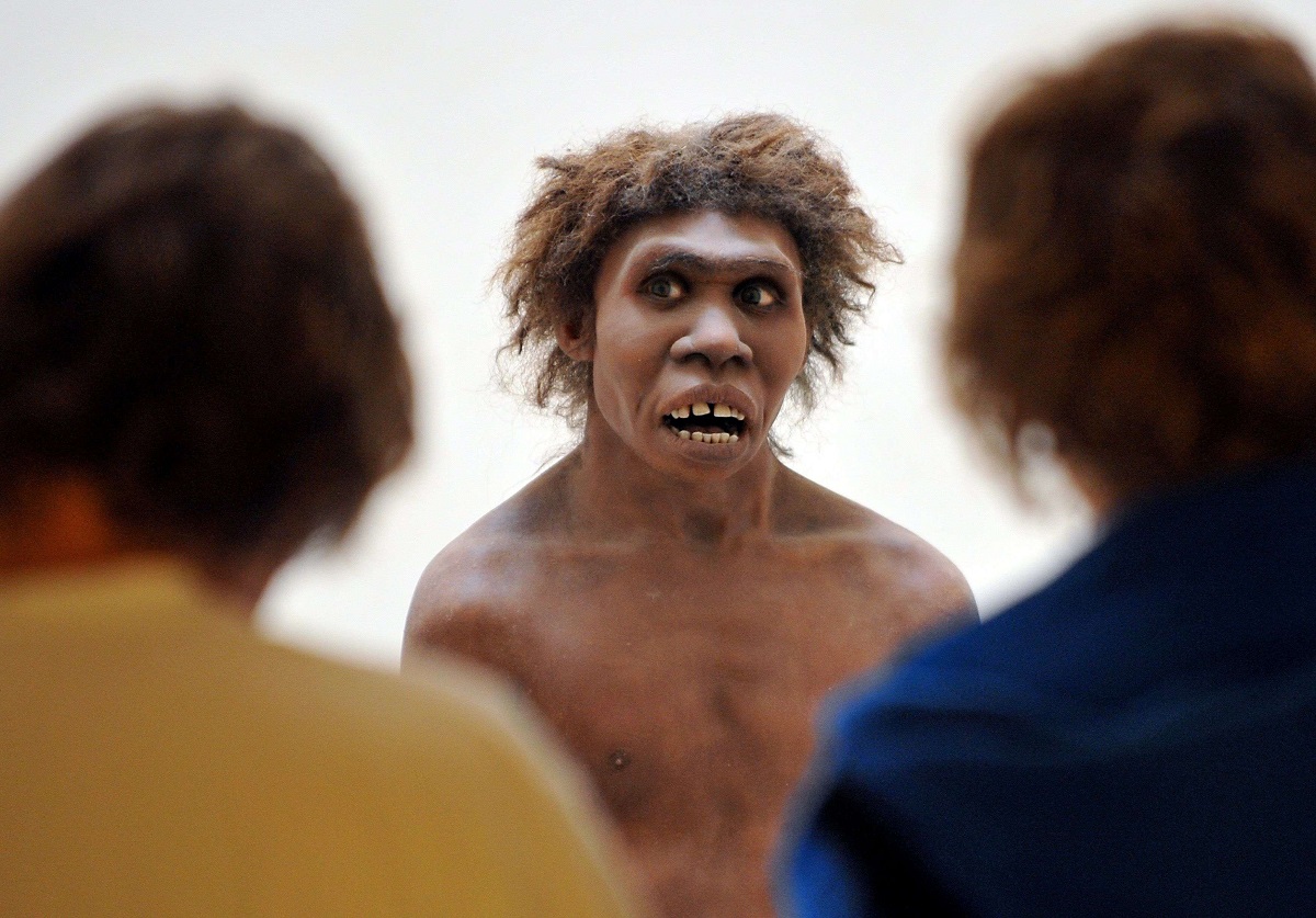 نموذج يمثل  إنسان نياندرتال معروض في متحف فرنسي