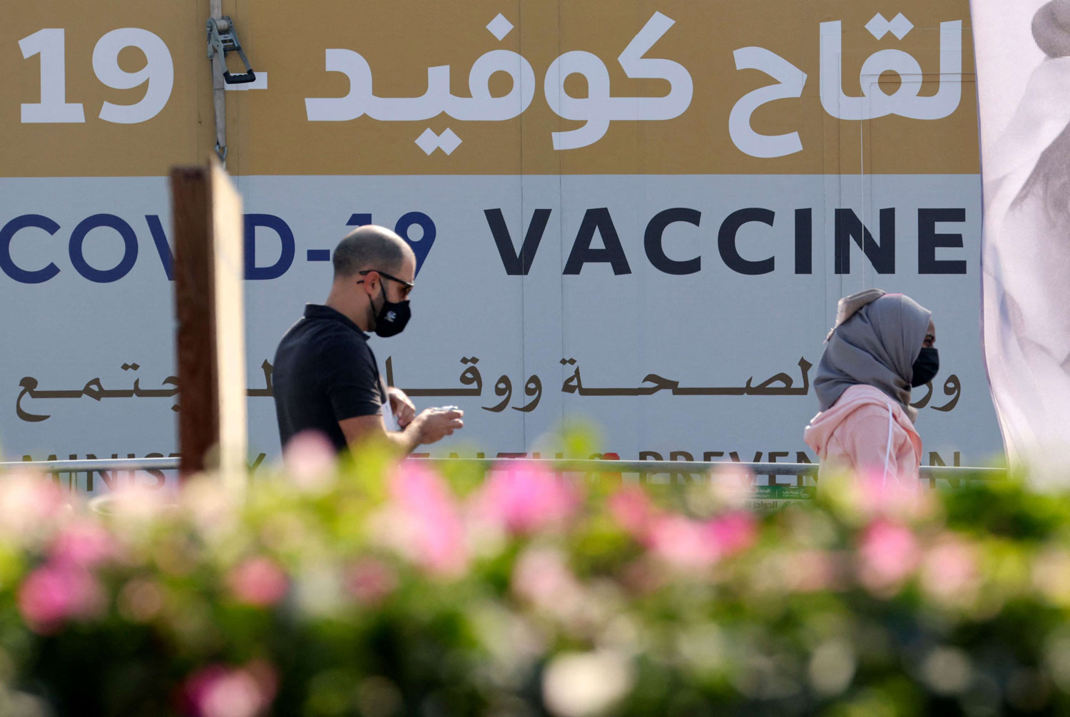 تطعيم  في الإمارات