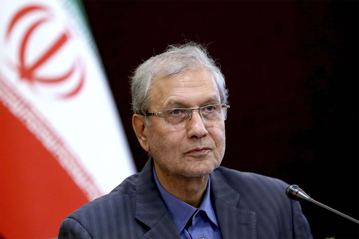 Rabiei says Iran will issue more information if Iranian prisoners are released 