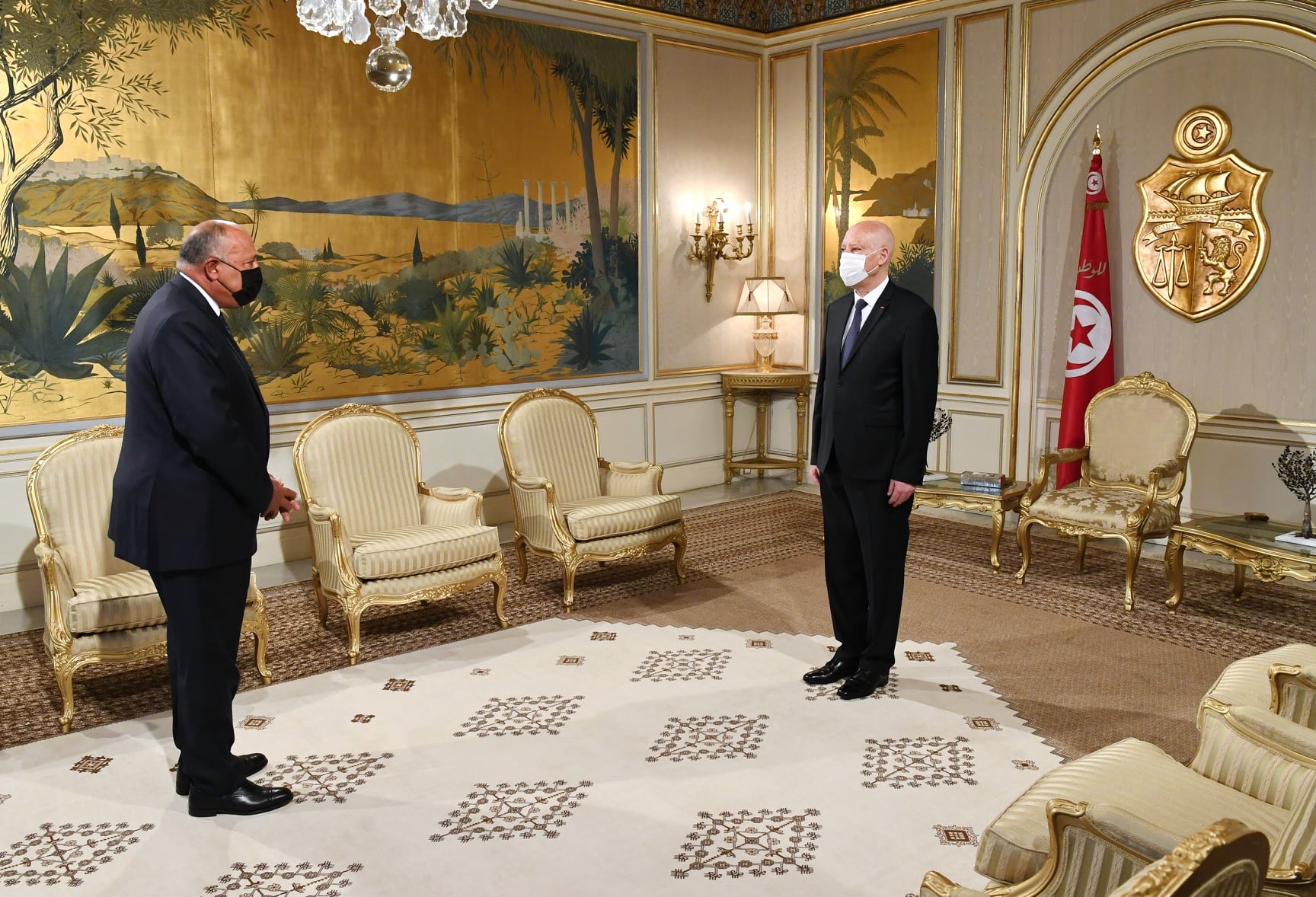 الرئيس التونسي قيس سعيد ووزير الخارجية المصري سامح شكري